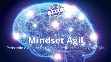 Mindset Ágil! Pensando e Agindo Estrategicamente em sua Organização 